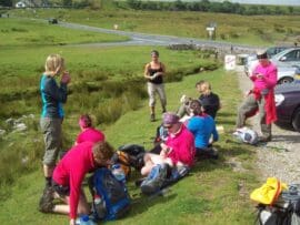 {{brizy_dc_image_alt imageSrc=