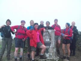 {{brizy_dc_image_alt imageSrc=