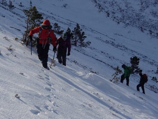 {{brizy_dc_image_alt imageSrc=