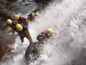 {{brizy_dc_image_alt imageSrc=