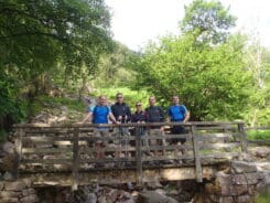 {{brizy_dc_image_alt imageSrc=